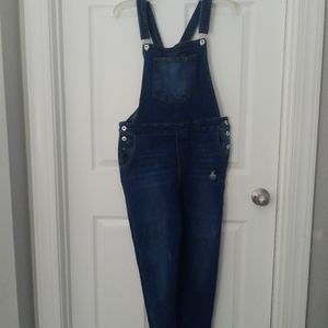 Love Tree Denim Overalls Large